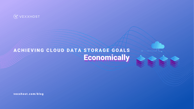 Achieving Cloud Data Storage Goals Economically