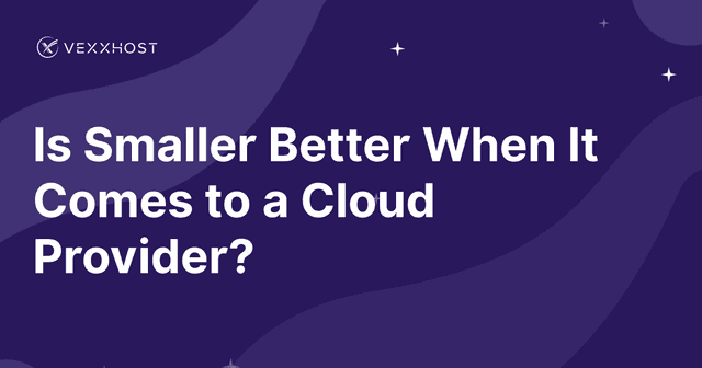 Is Smaller Better When It Comes to a Cloud Provider?