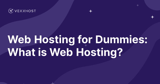 Web Hosting for Dummies: What is Web Hosting?