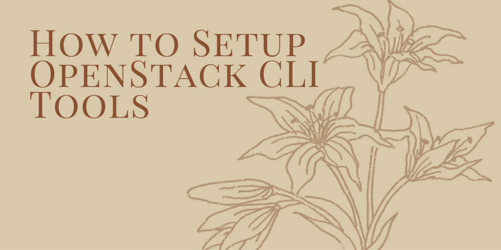 How to Setup OpenStack CLI Tools.