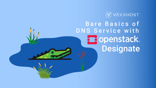 Bare Basics of DNS Service with OpenStack Designate