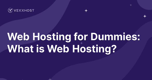 Web Hosting for Dummies: What is Web Hosting?