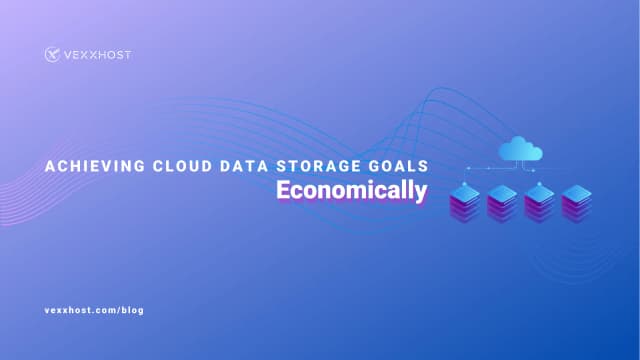 Achieving Cloud Data Storage Goals Economically