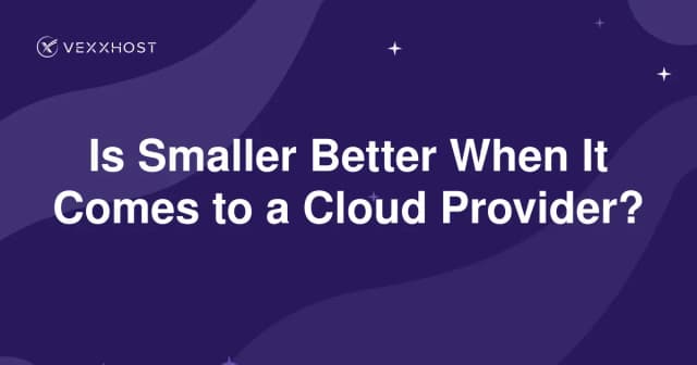 Is Smaller Better When It Comes to a Cloud Provider?