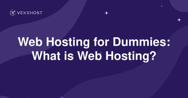Web Hosting for Dummies: What is Web Hosting?