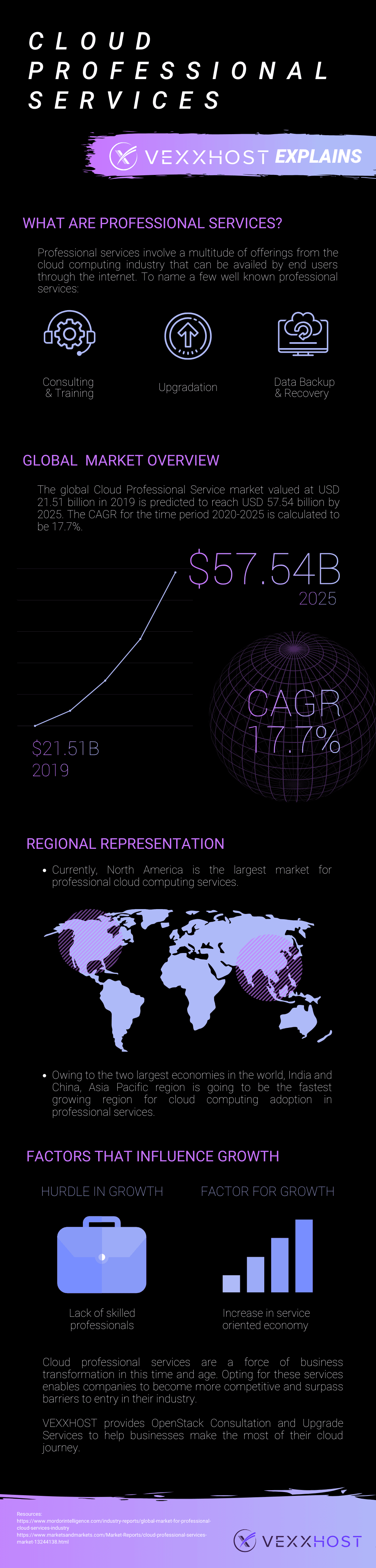 Cloud Professional Services Infographic