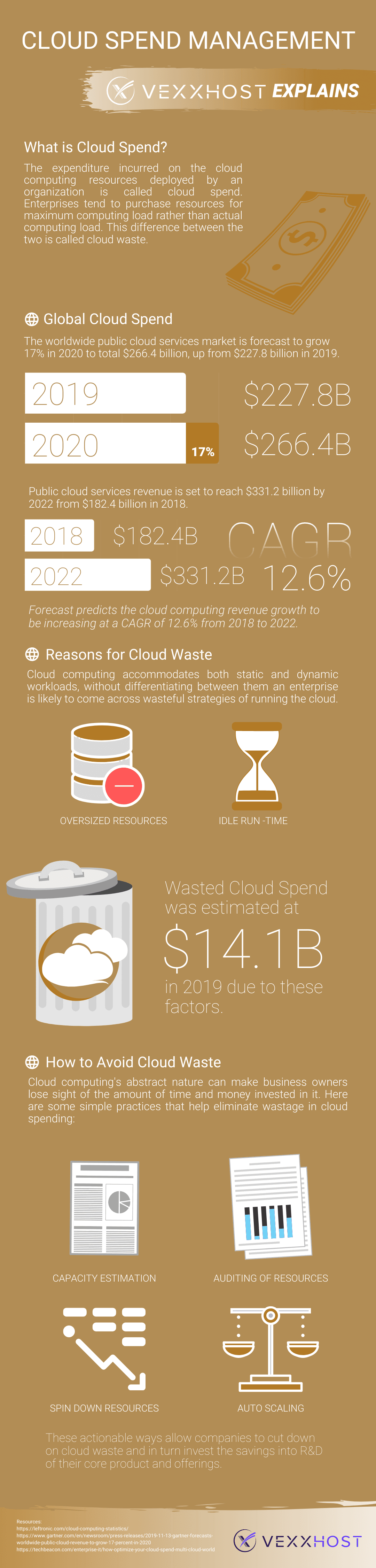 Cloud Spend Management Infographic