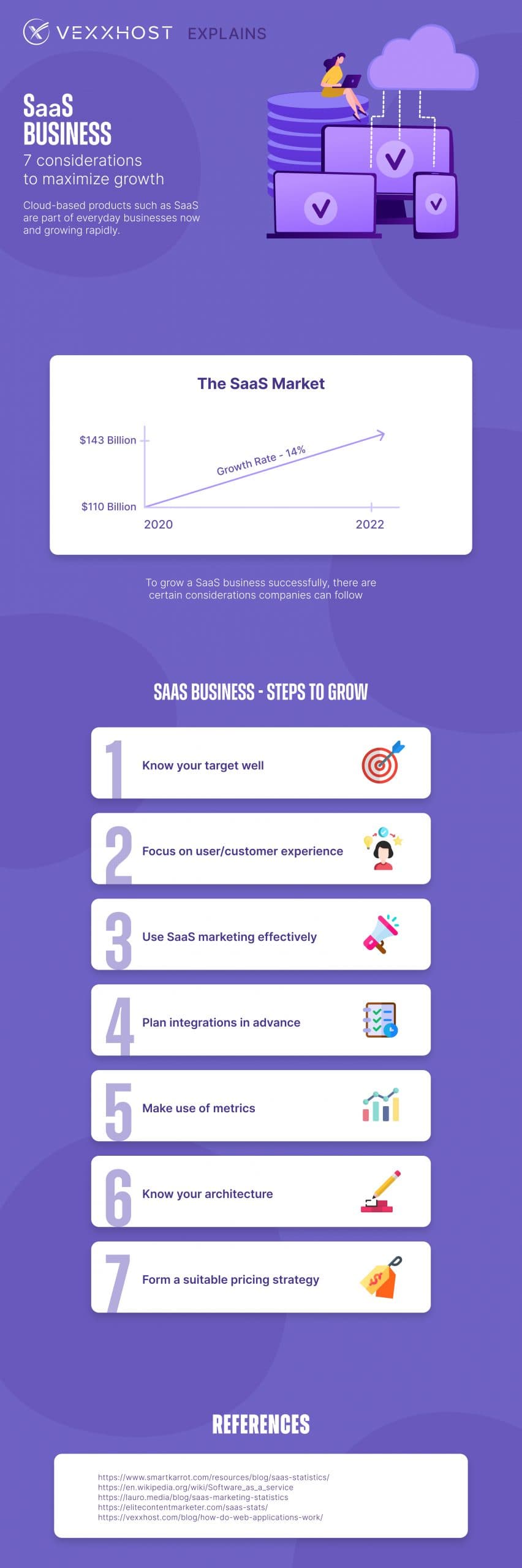 SaaS Businesses Infographic