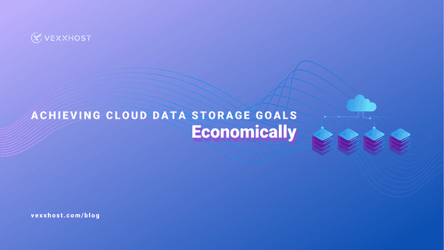 Achieving Cloud Data Storage Goals Economically