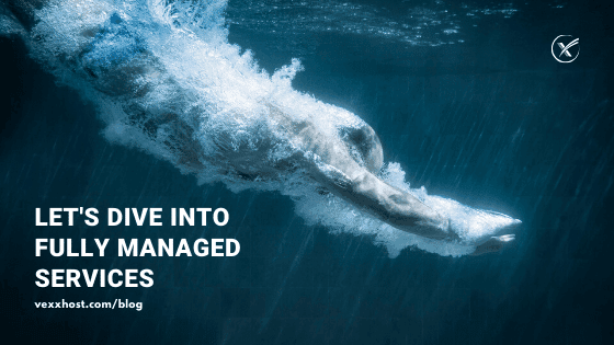 A Dive Into Fully Managed Services