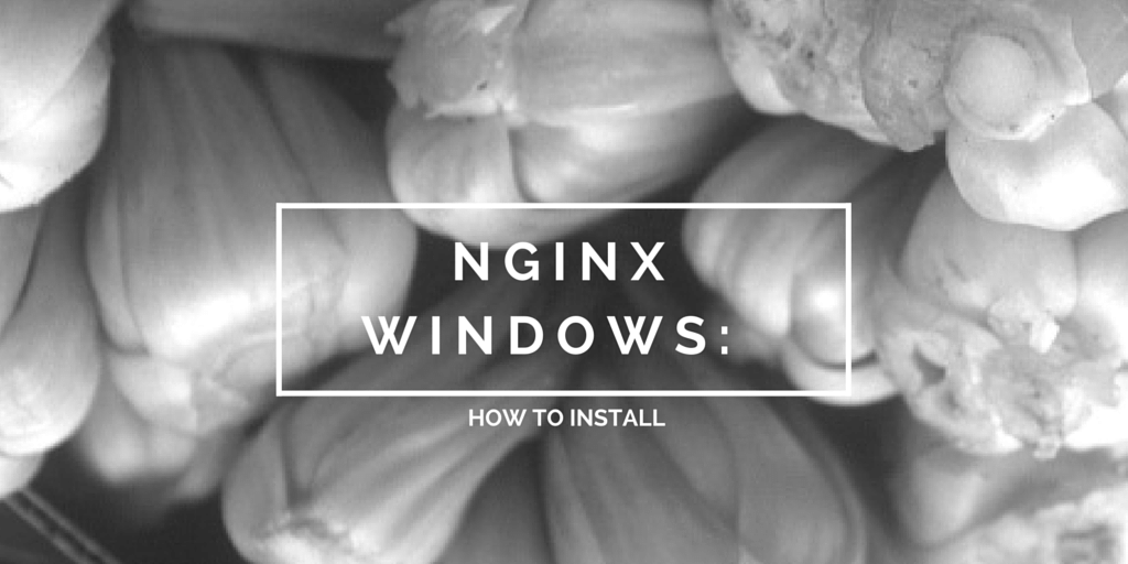 Nginx Windows How to Install Written on Vegetables Background