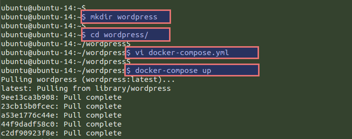 Docker как запустить wordpress на ubuntu