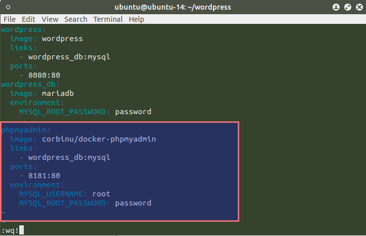 download phpmyadmin docker