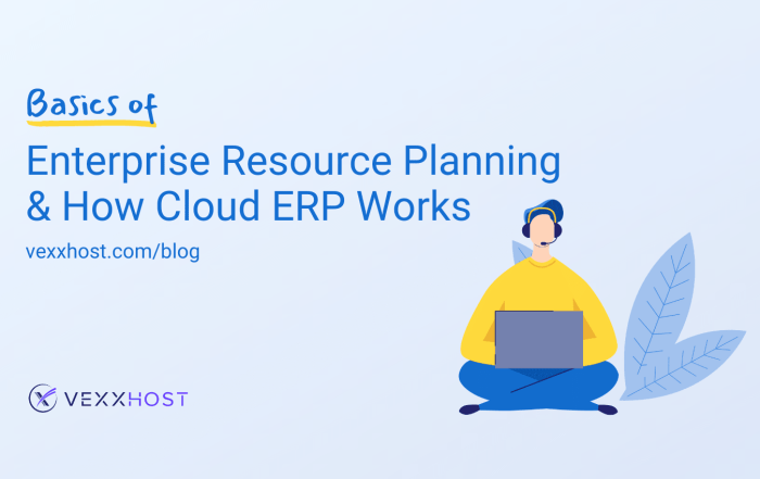 Basics of Enterprise Resource Planning and How Cloud ERP Works