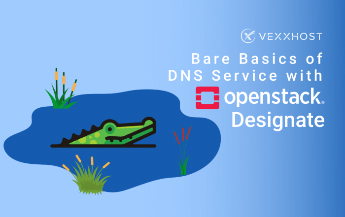 Bare Basics of DNS Service with OpenStack Designate