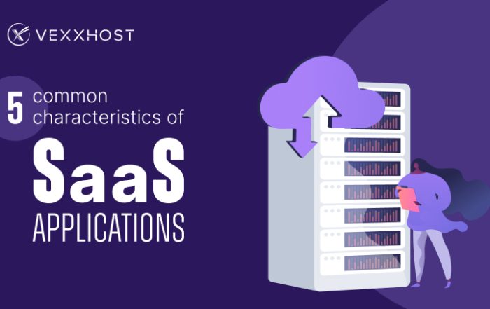 5 Common Characteristics of SaaS Applications