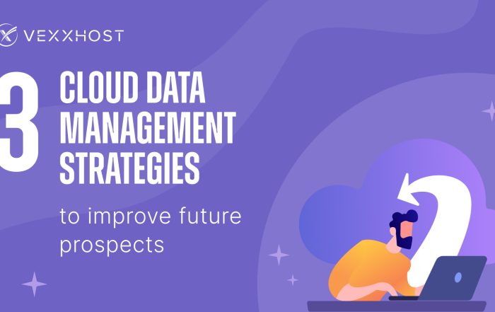 3 Cloud Data Management Strategies to Improve Future Prospects